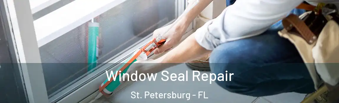 Window Seal Repair St. Petersburg - FL